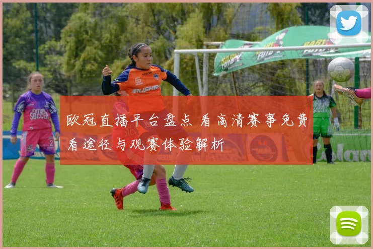 欧冠直播平台盘点 看高清赛事免费看途径与观赛体验解析