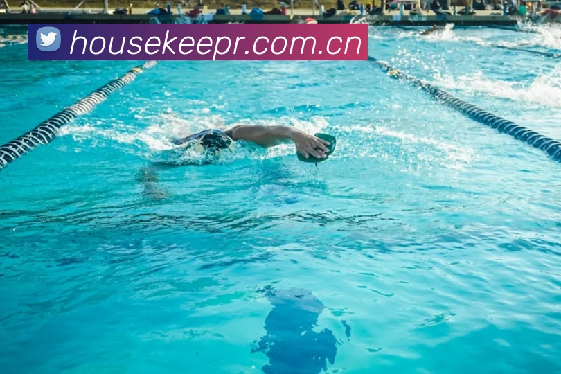 九游官网入口平台生态图