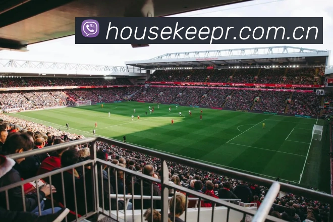 九游官网入口APP 封面图